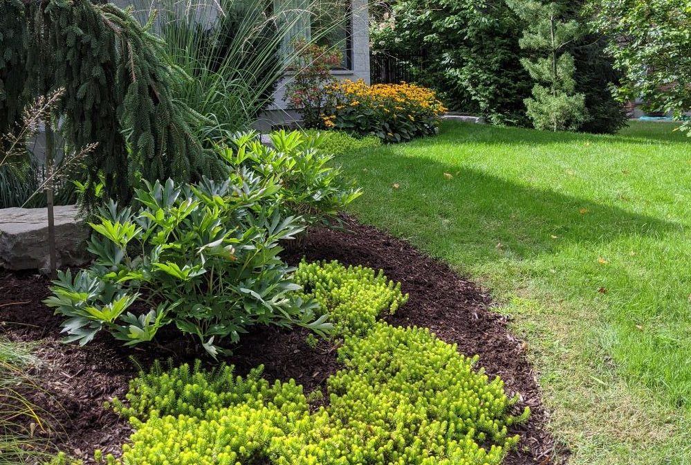 A maticulous garden designed and installed by Pick Plant and Prune